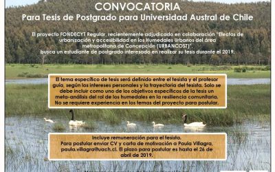CONVOCATORIA