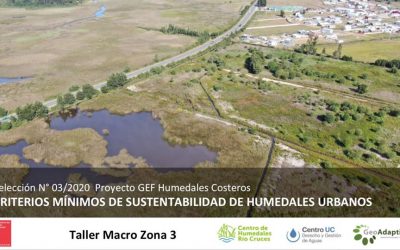 Participación en taller Remoto sobre Criterios Mínimos de Sustentabilidad de Humedales Urbanos