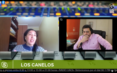 Resiliencia y juegos serios