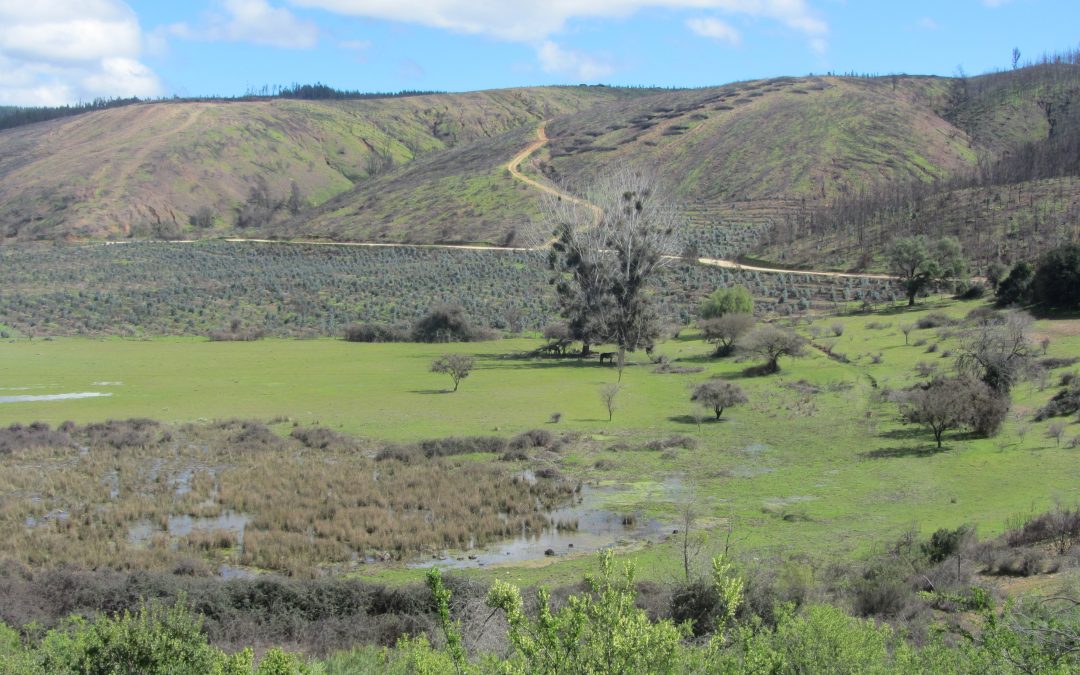 Nueva Publicación en Revista Environment