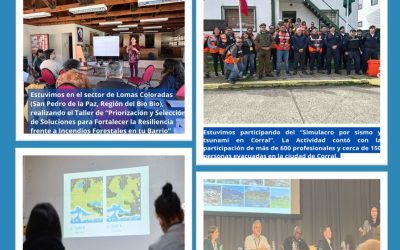 Día Internacional para la Reducción del Riesgo de Desastres