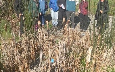 Visita a Humedales Centinela y Depuradores