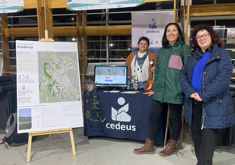 Participamos en el Seminario «Gestión Territorial de Humedales: Desafíos y Oportunidades en la Región de Los Ríos»