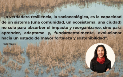Cultivar la Resiliencia: la tarea urgente que siempre posponemos